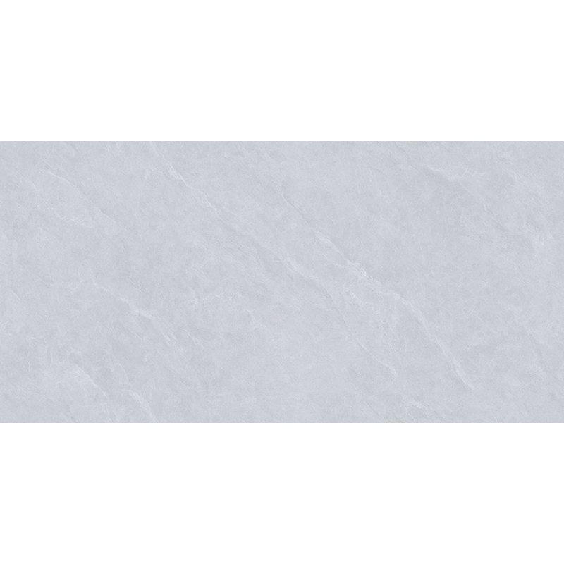 A84P055